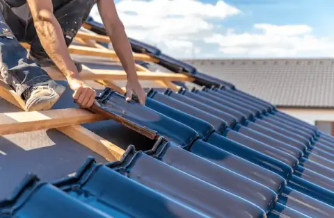 Couverture - Chenereilles