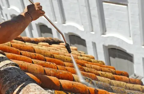 Nettoyage de toitures - Chenereilles